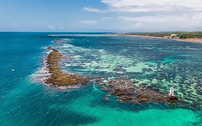 A Baia de Todos os Santos pode ganhar um novo parque marinho em Vera Cruz